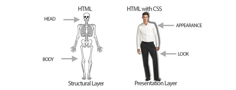 بررسی HTML و CSS در برنامه نویسی وب