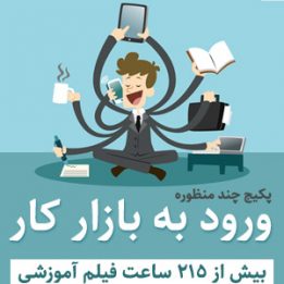 پکیج برای ورود به بازار کار